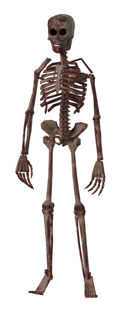 SCP-3114